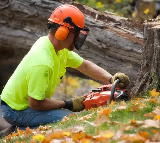 tree services Ottertail